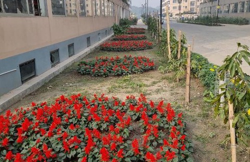 Mirpur Casa | Tilottama (তিলোত্তমা)