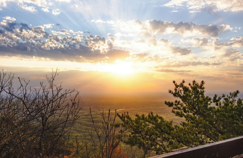 Delta Cabina | Timberline Glamping Cheaha