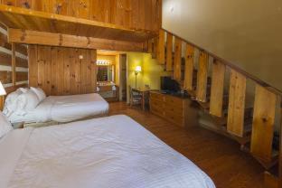 Pigeon Forge Hotel | Timbers Lodge