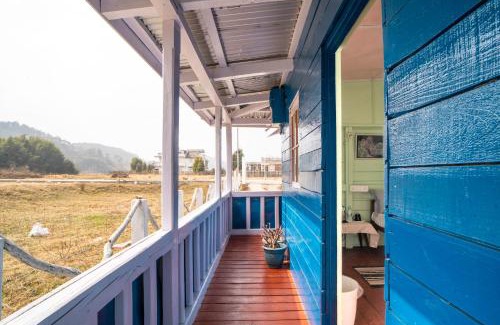 Shillong Casa | Timberwolves- 7th Mile