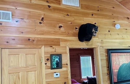 Blairsville Cabina | Timmons Gorgeous Cabin on Nottely River