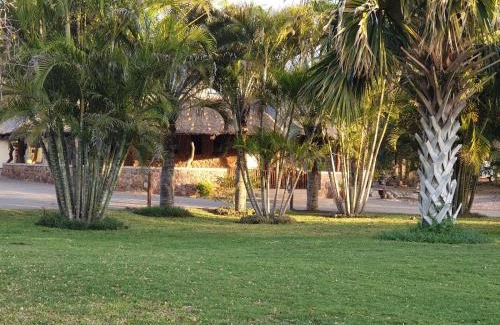 Phalaborwa Cabina | Tintshaba Safaris