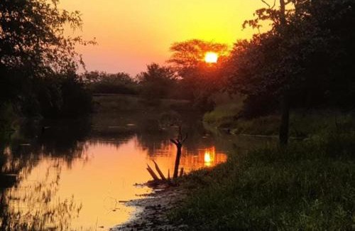 Phalaborwa Cabina | Tintshaba Safaris