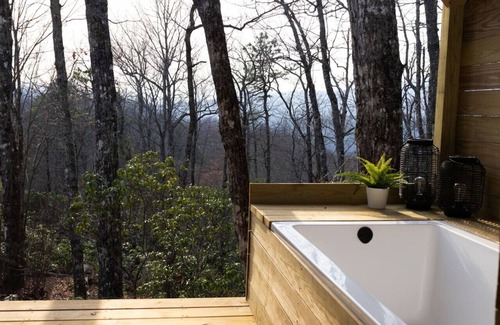 Pisgah Forest Casa | Tiny Blue Pisgah Forest