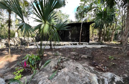 Puerto Morelos Otro | TINY CENOTE Casa Costal Glamping Experience
