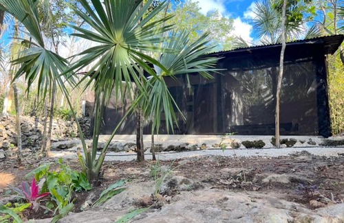 Puerto Morelos Otro | TINY CENOTE Casa Costal Glamping Experience