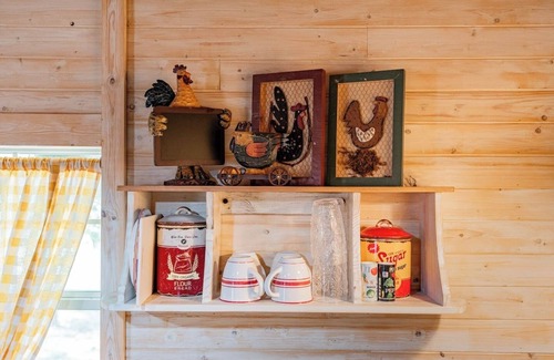 Granbury Cabina | Tiny Farmhouse Pickleball Court and Pet Friendly!