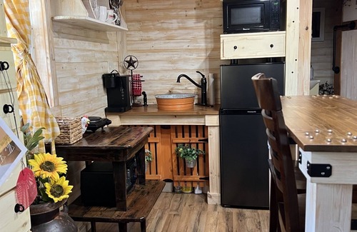 Granbury Cabina | Tiny Farmhouse Pickleball Court and Pet Friendly!