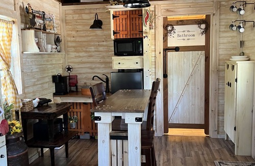 Granbury Cabina | Tiny Farmhouse Pickleball Court and Pet Friendly!