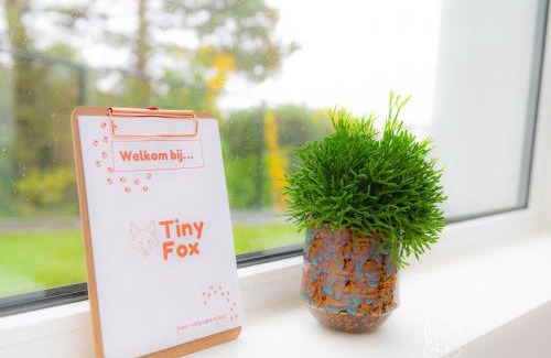 Orroir Casa | Tiny Fox Kluisbos