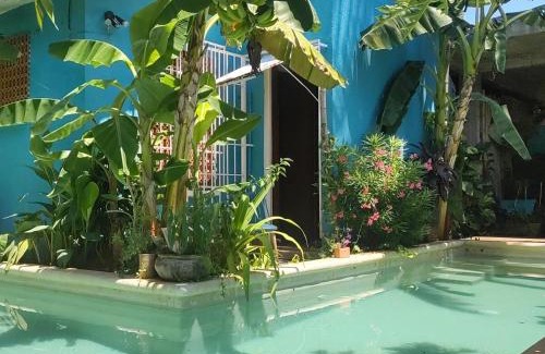 Bacocho Casa | Tiny House 4 Jaguar