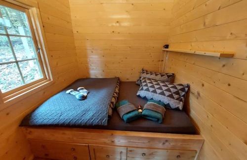 Saalfeld-Saale Apartamento | Tiny House am Teich