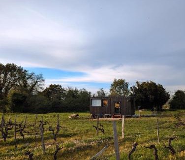 Arbis Cabina | Tiny House au milieu des Vignes