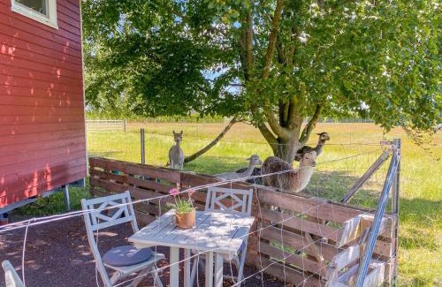 Rubkow Casa | Tiny House auf der Alpaka Farm