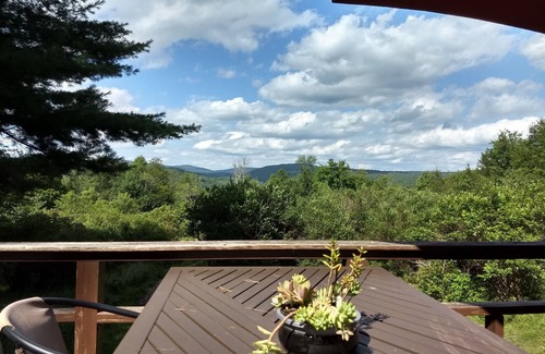 Livingston Manor Cabaña | Tiny House Cabin in Livingston Manor, NY