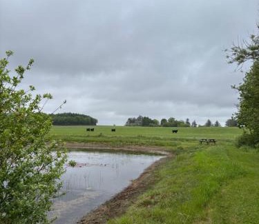 Billund Municipality Casa | Tiny House Countryside