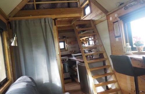 Silves Otro | Tiny house eco resort
