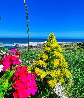 La Ligua Apartamento | tiny house frente al mar