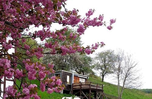 Iba Apartamento | Tiny House mit Klima und Heizung, in idyllischer Ortsrandlage