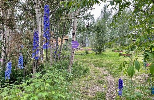 Whitehorse Cabina | Tiny House on Urban Farm-Glamping