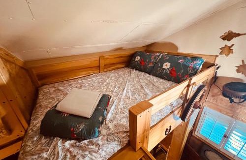 Cosby Casa | Tiny House, WIFI,Hot tub,Secluded