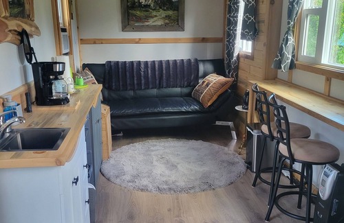 Nakusp Casa | Tiny House with stunning mountain views, steps from Arrow lake. Pet- friendly!
