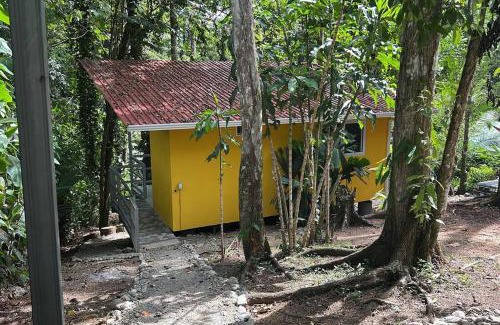Cocles Casa | Tiny jungle house, few minutes from the beach