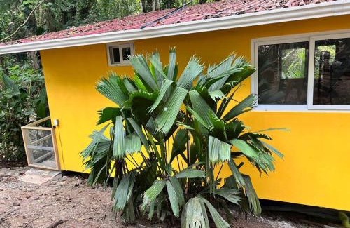 Cocles Casa | Tiny jungle house, few minutes from the beach
