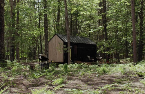 Indian River Cabina | Tiny Meadow