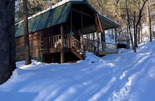 Board Camp Casa | Tiny Piney Big Adventure!