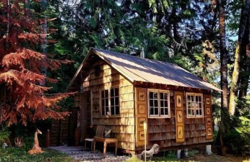 Eatonville Cabina | Tiny Safari themed cabin for 2 with private fire pit & BBQ