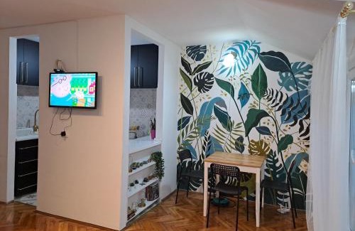 Stari Banovci Apartamento | Tiski Cvet