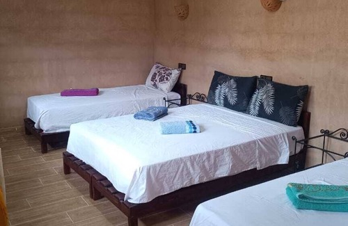 Fint Hotel | Tissili Auberge Restaurant Oasis de Fint