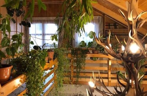 Szentgal Casa | Tiszafa Vendégház Szentgál