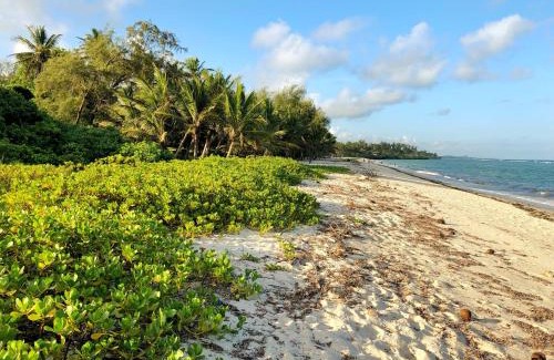 Tiwi Apartamento | Tiwi Tatu