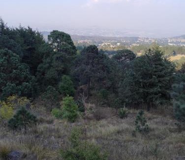 Tlalpan Otro | Tlali Nantli Ecoturismo