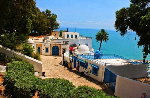 Amilcar Cama Y Desayuno | The house of ruins