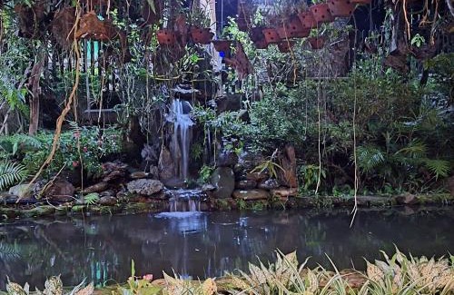 A Luoi Casa | TO NI - NGUYEN homestay A Luoi