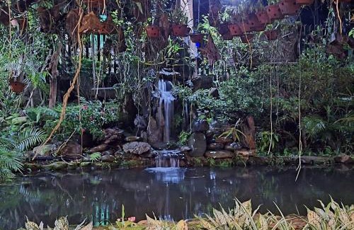 A Luoi Chalet De Esquí | TO NI - NGUYEN homestay A Luoi