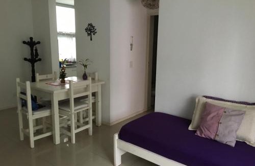 Tigre Apartamento | Toco el Cielo Aparts