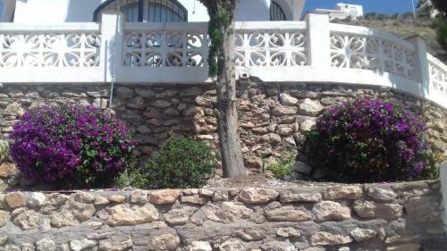 Aguilas Casa | Todosol Dream