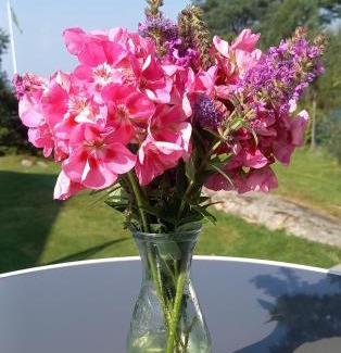Lycke Casa | Tofte Guesthouse nära hav, bad och Marstrand