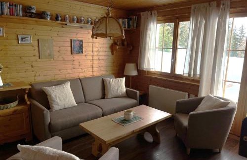 Bettmeralp Apartamento | Toggi EG