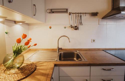 Rasa Apartamento | Töllhof Apartments and Farm