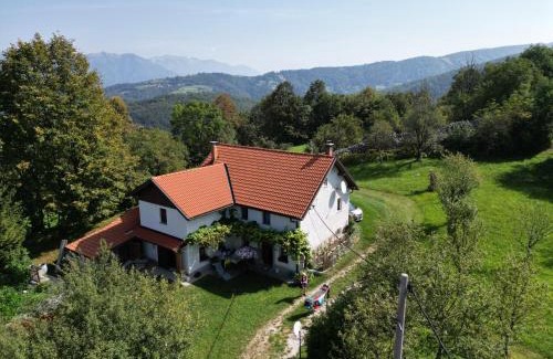 Kambresko Apartamento | Tolmin Holiday Home