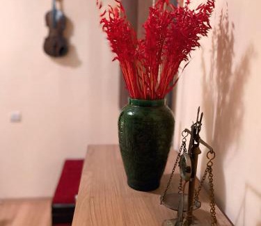 Sincraiu Casa | Toma Guesthouse