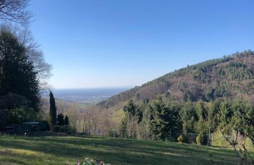 Buehlertal Apartamento | Top ausgestattete Wohnung in Traumlage mit grandioser Aussicht