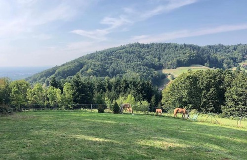 Buehlertal Apartamento | Top ausgestattete Wohnung in Traumlage mit grandioser Aussicht