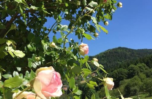 Buehlertal Apartamento | Top ausgestattete Wohnung in Traumlage mit grandioser Aussicht