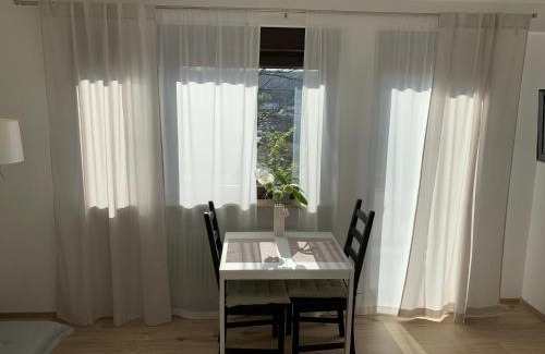 Bad Soden-Salmuenster Apartamento | Top Modernes 1-Zimmer-Apartment mit Küche, Parkplatz, kostenfreiem WLAN und Netflix